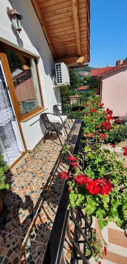 Casa Mimi Apartment Baile Herculane Exterior photo