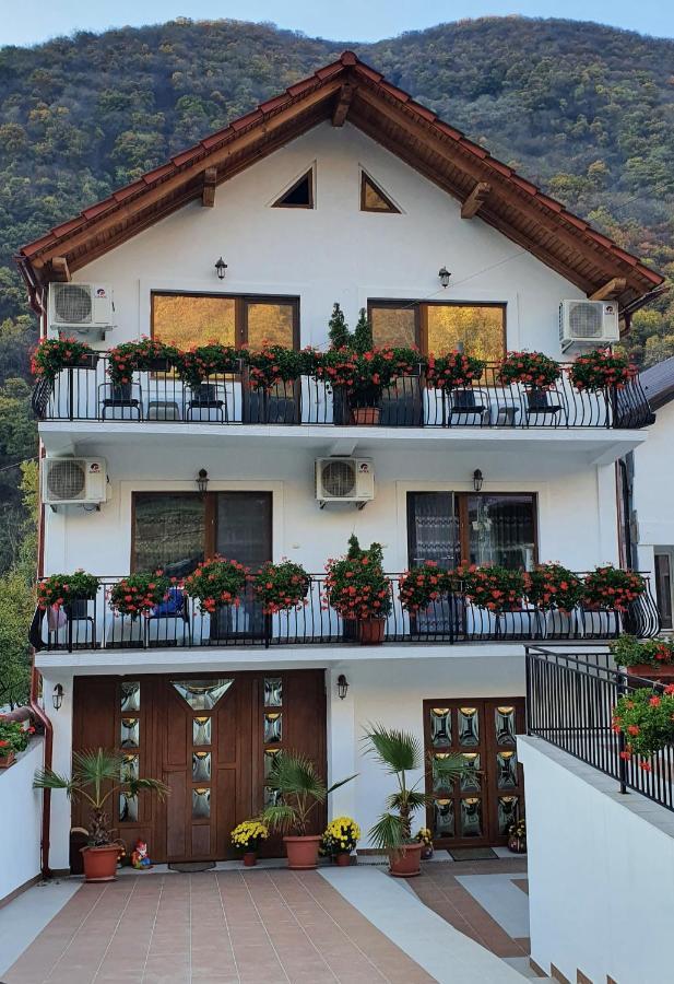 Casa Mimi Apartment Baile Herculane Exterior photo